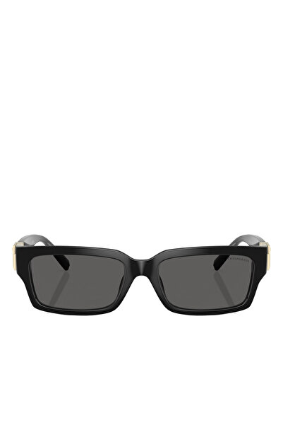 Tiffany Unisex Güneş Gözlüğü 0TF4226U568001S4