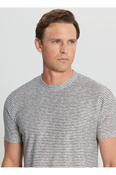 ALTINYILDIZ CLASSICS Ανδρικό μπλουζάκι με ριγέ λαιμόκοψη λευκό - γκρι ACE091252395_BGR