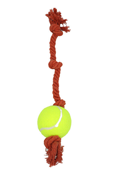 Eva & Wall-e Tennis Ball Bulk Rope Dog Toy |   Durable Pull String Fetch Ball for Medium and Large Breeds
