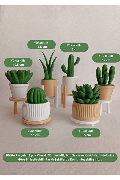 Bayan Rottenmeier 6'lı Yapay Kaktüs Set (18 Parça) - Yapay Çiçek - Yapay Bitki