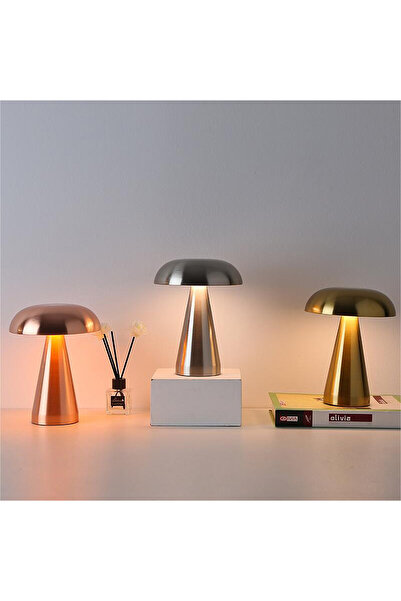 K2 KML113 Dokunmatik Rose Masa Lambası CCT (3 Renk Opsiyonlu)