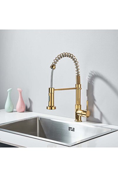 Sanlux Baterie Bucătărie Profesională cu Duș Flexibil, 2 Funcții de Curgere, Finisaj Auriu Lucios, VST67