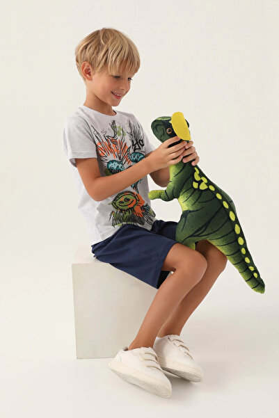 Rolypoly Boy's Gray Bermuda Suit