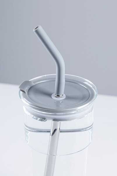 Nandy Home Borosilicate Glass Mug – with Stainless Steel Straw and Cleaner Gift, 700ml.