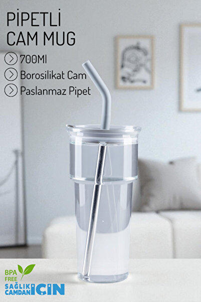 Nandy Home Borosilicate Glass Mug – with Stainless Steel Straw and Cleaner Gift, 700ml.