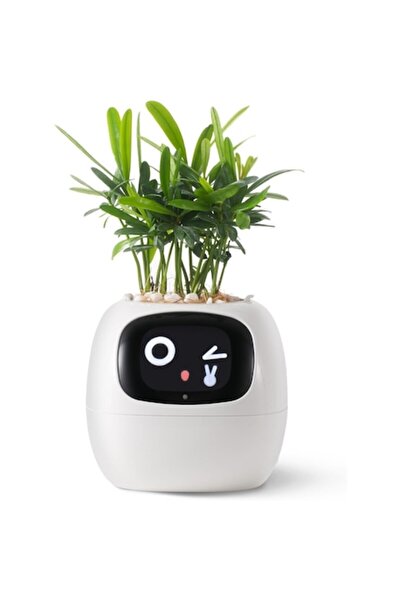 ILA PRODUCT Ghiveci smart pentru plante, animatii si senzori tactili, elegant, portabil, alb