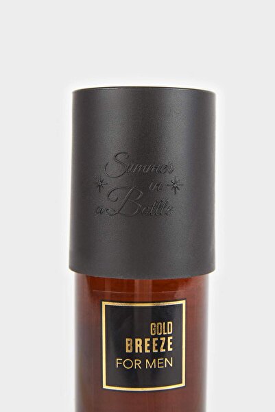 DeFacto Erkek Sılver Breeze Aromatik 200 ml Parfüm F5174AXNS