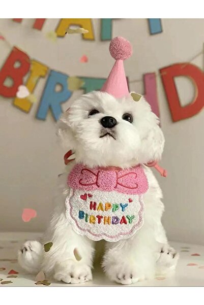 Payidar Hediyelik KEDİ/KÖPEK DOĞUM GÜNÜ PARTİ KIYAFETİ/AKSESUARI (Şapka ve Önlük) Evcil Hayvan Doğum Günü Sürprizi