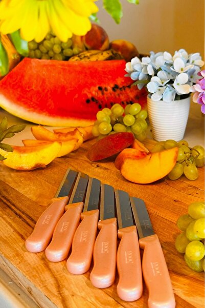 Rooc 6'lı Pembe Simli Tırtıklı Meyve Bıçağı