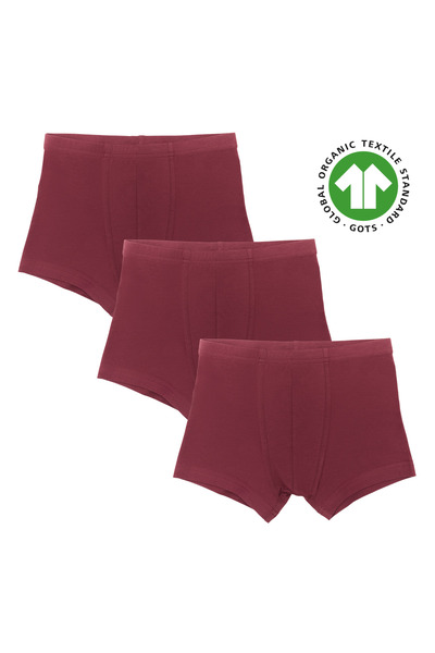 Albero Natur بوكسر للأولاد من القطن العضوي المعتمد من GOTS - قصة ضيقة، خصر مط...