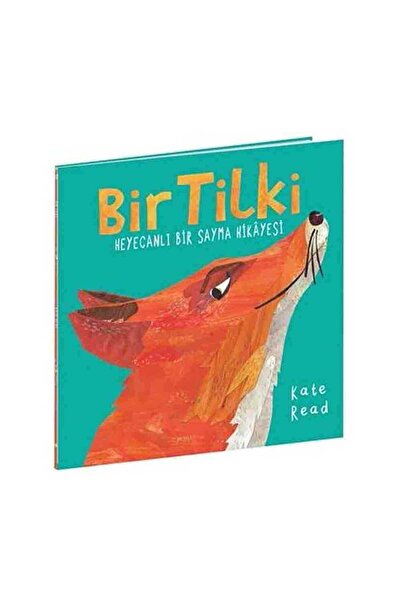 Beta Kids Bir Tilki Heyecanlı Bir Sayma Hikayesi