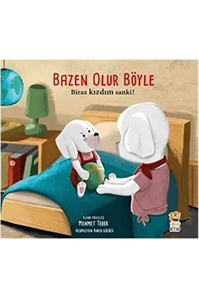 Sincap Kitap Biraz Kızdım Sanki