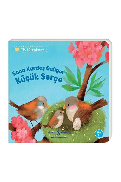 TÜRKİYE İŞ BANKASI KÜLTÜR YAYINLARI İlk Kitaplarım - Sana Kardeş Geliyor Küçük