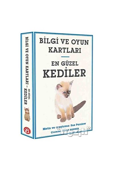 Beta Kids أجمل القطط - بطاقات المعرفة واللعب