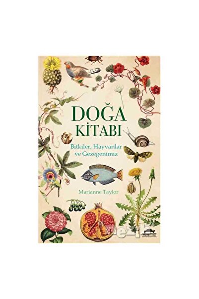 Maya Kitap Doğa Kitabı Bitkiler, Hayvanlar ve Gezegenimiz / / Marianne Taylor