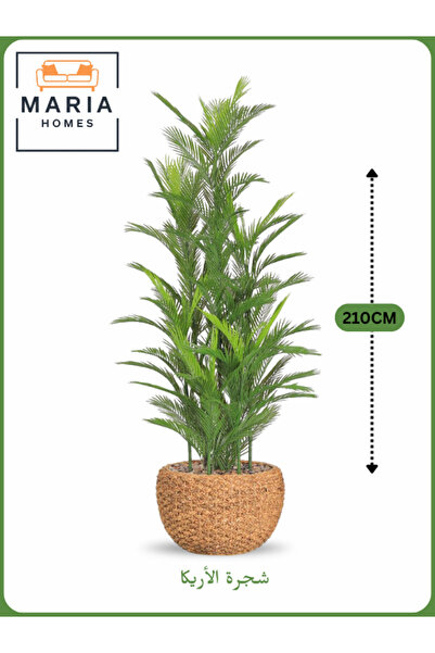 MARIA HOMES شجرة نخيل أريكا اصطناعية بطول 210 سم مع 9 فروع في وعاء أصفر - ديك...