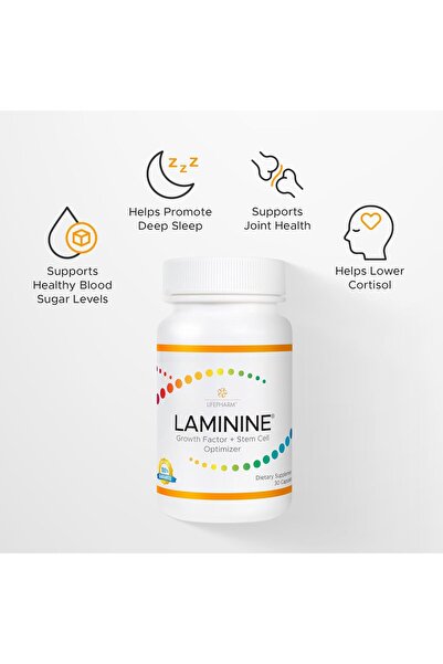 LifePharm Global Inc Laminine LifePharm – Innovative supplement for stem cell regeneration and vitality (30 capsules)