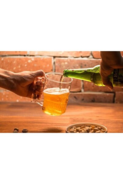 Gadget Master Beer Mug Skull