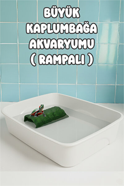 MD×JOA Büyük Kaplumbaga Akvaryumu ( Rampalı ) Kaplumbaga Bahçesi ( Karışık Re...