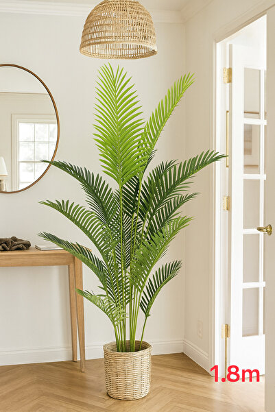 DRAMA HOME شجرة نخيل صناعية بارتفاع 180 سم أوراق طبيعية بلمسة واقعية مثالية لديكور المنازل والمكاتب والفنادق