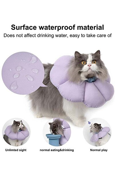 Bukela Cat Cone Collar, Waterproof, Anti-bite, for Recovery, Purple