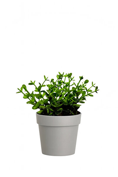 HOMİNG Fika Artificial Green Decorative Plant