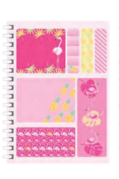 Next Plus All in One Memo Pad + Index(Pp) + Sticky Note Paper Set 2220