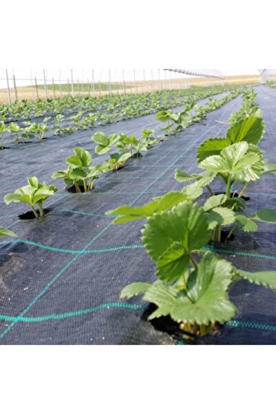 hectarul Folie agrotextilă ecologică, UV, 2 x 10 metri, 70 gr/m2, umbrire 100%, neagră