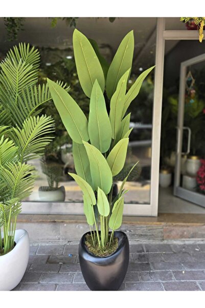 İremÇiçekçilik Hacimli Eğri Karbonfiber saksıda Starliçe