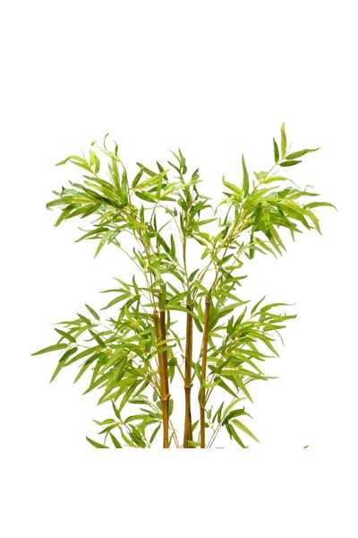 Casco Elegant artificial bamboo tree with white pot, 200 cm