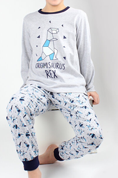 Richy dinosaur pajamas