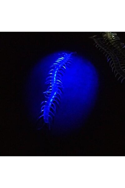 Go İthalat قلم تحديد شفاف يتوهج في الظلام على شكل ألفيدا 13 سم قطعة واحدة (5273)