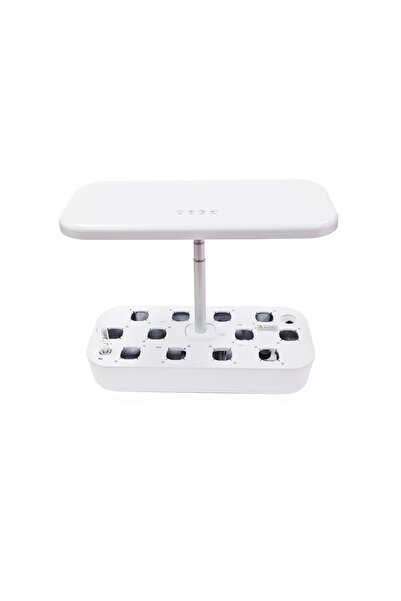 Petrix Topraksız Tarım Akıllıbahçe (Evde Bitki Yetiştirme Seti)