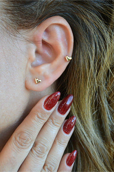 Sacce Scarves&Accessories 14K Altın Kaplama Mini Kalp Küpe – 4 mm Zarif Tasarım & Helix Uyumlu