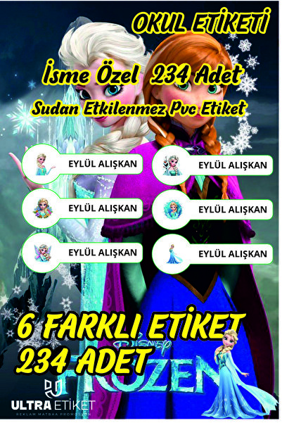 Elsa Temalı Kişiye Özel İsimli Defter Kalem Okul Etiketi, Yırtılmaz PVC Etiket