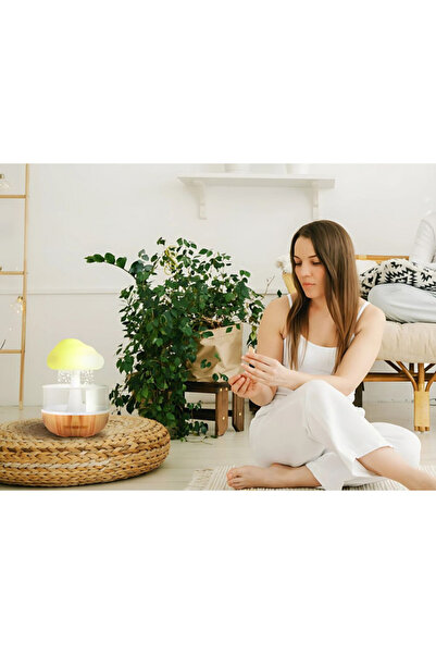 Savonia Aromatherapy Diffuser and Humidifier with Rain Effect and RGB Light