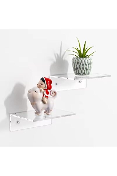 Slasa رف أكريليك مثبت على الحائط من - رف عرض وحامل تخزين من زجاج شبكي شفاف لل...