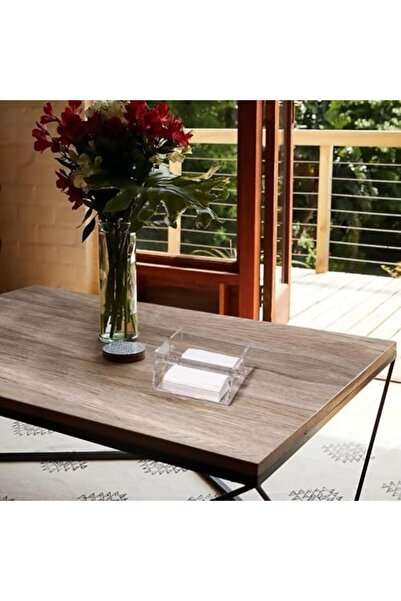 Slasa Acrylic Napkin Holder – Clear Flat Tissue Dispenser with Weighted Arms for Kitchen & Dining