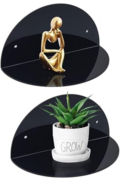 Slasa Small Acrylic Floating Wall Shelves, Pack of 2, Black