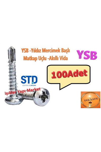 ece life 3,8x25mm -YSB -Yıldız Mercimek Başlı -Matkap Uçlu -Akıllı Vida (Pk./...