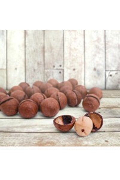 Nuts المكاديميا مع القشر (1 كجم)