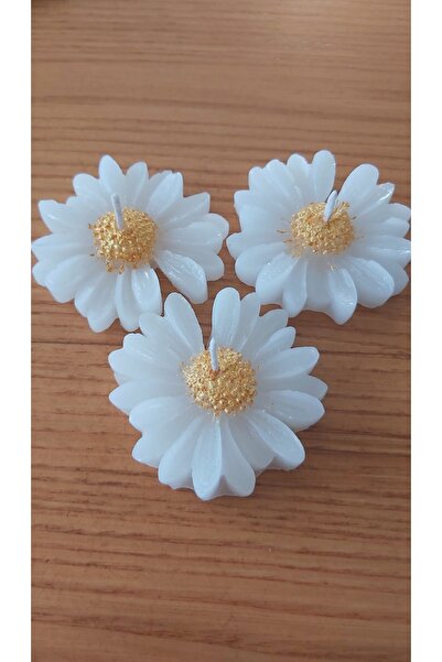 10 Adet Papatya Mum