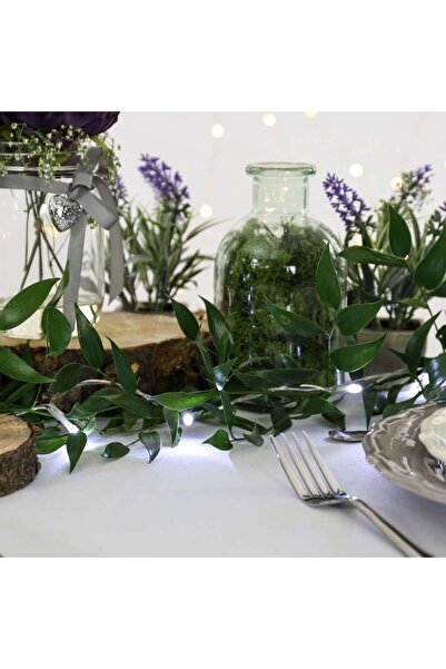 Teo Instalație de Crăciun cu baterii, tip liniar, 2 moduri de iluminare, sârmă transparentă, 1 m, 10 LED-uri, Coo