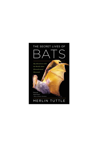 Houghton Mifflin The Secret Lives of Bats: My Adventures with the World's Mos...