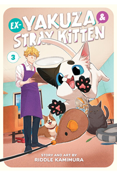 Seven Seas Pr Ex-Yakuza and Stray Kitten Vol. 3