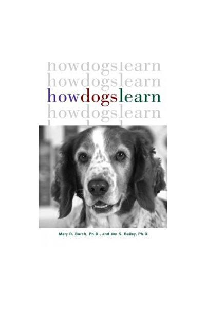 Howell Book House Inc Cum învață câinii