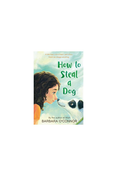 Square Fish Cum să furi un câine