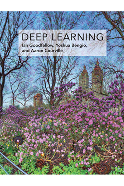 Mit Pr Deep Learning