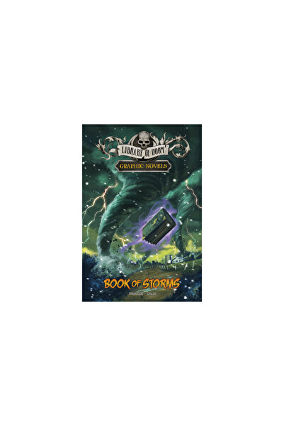Stone Arch Books Book of Storms: A Graphic Novel