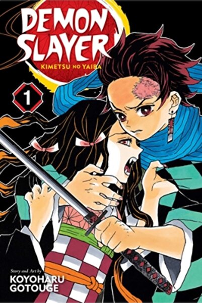 Viz LLC Demon Slayer: Kimetsu No Yaiba, Vol. 1
